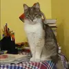Отзыв от Лия Гуляева
